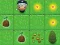 Hra Magic Seeds