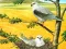 Hra Birds Of Prey Puzzle