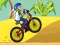 Hra BMX Boy Online