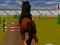 Hra Jumping Horse 3d
