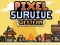 Hra Pixel Survive Western