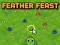 Hra Feather Feast