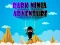 Hra Dark Ninja Adventure