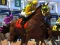 Hra Horse Racing