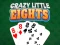 Hra Crazy Little Eights