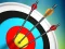 Hra Master Archery Shooting