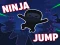 Hra Ninja jump