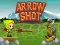 Hra Arrow Shoot