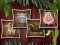 Hra Animal Shapes 3