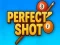 Hra Perfect Shot