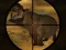 Hra Classical Hippo Hunting