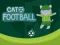 Hra Cat Football
