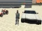 Hra City Simulator