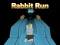 Hra Rabbit Run 3D