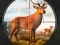 Hra Wild Animal Hunting