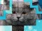 Hra PicPu Cat