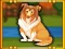 Hra Bernese Mountain Dog Escape