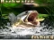 Hra Backwater Fishing