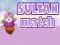 Hra Sultan Match