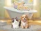 Hra Pet Salon