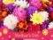 Hra 2019 Mother's Day Puzzle