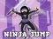 Hra Ninja Jump