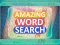Hra Amazing Word Search