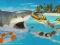 Hra La Shark
