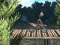 Hra Bike Trial Xtreme Forest