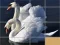 Hra Animals Slide Puzzle