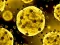 Hra Coronavirus Slide