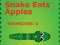Hra Snake Eats Apples