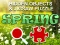 Hra Hidjigs Spring