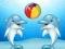 Hra Dolphin Show