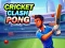 Hra Cricket Clash Pong