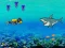 Hra Search for Treasure 2