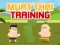 Hra Muay Thai Training