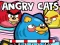 Hra Angry Cats