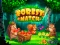 Hra Forest Match