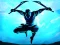 Hra Shadow Ninja Revenge