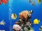 Hra Sea Underwater Difference