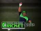 Hra Cricket Fielder Challenge
