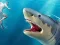 Hra Shark Hunting