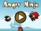 Hra Angry Ninja