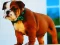 Hra Bulldog Puppy Puzzle
