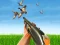 Hra Bird Hunting