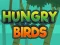 Hra Hungry Birds