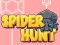Hra Spider Hunt