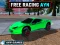 Hra Free Racing Ayn