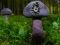 Hra Mushroom Forest Adventure